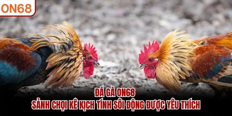 Đá Gà ON68